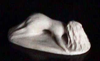 Mulher Desesperada1/1996 - Escultura em Argila por Vernica M. Mapurunga de Miranda
