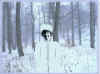 Vero e Muito Frio - por Ver�nica M. Mapurunga de Miranda - Abril /1999